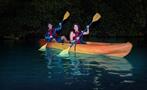 Rainforest and bio bay combo couple in night, El Yunque Rainforest And Kayaking Combo Tour