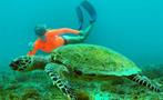3, Ecotourism Snorkeling Full Day Tour
