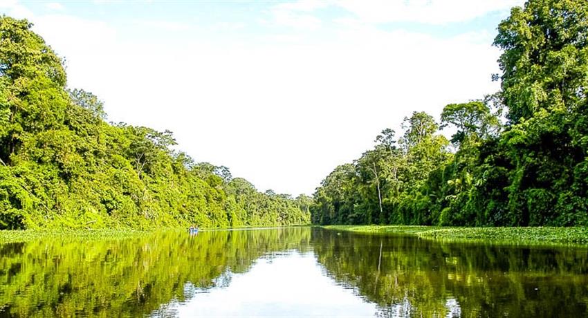 5, 2 Days Tortuguero Expeditions