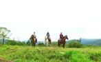 3, Farm Horseback Ride Tour