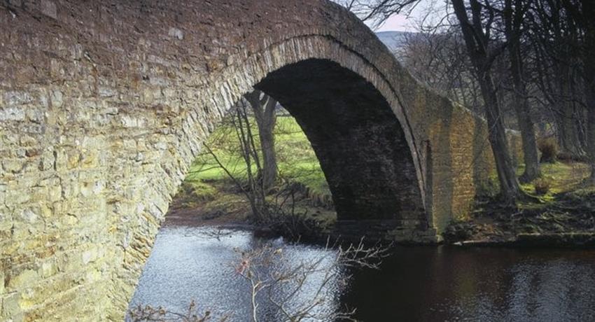 under the bridge - tiqy, Fish for Trout on the River Swale