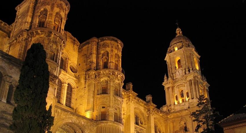 Tha Cathedral of Malaga at night - tiqy, Flamenco y Tour de Tapas de Noche