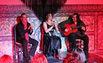 flamenco performance - Tiqy, Tour de Tapas y Flamenco