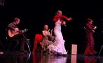Show de flamenco con enjoy tapas madrid, Tapas and Flamenco Show