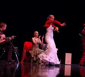 Tapas y Flamenco Show