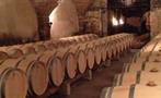 barrel wine, Food and Wine Day Tour