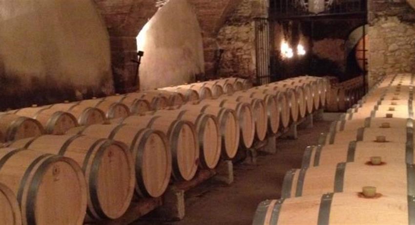 barrel wine, Food and Wine Day Tour