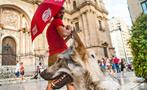 guide and a wolfdog - tiqy, Tour Gratuito a Pie en Málaga