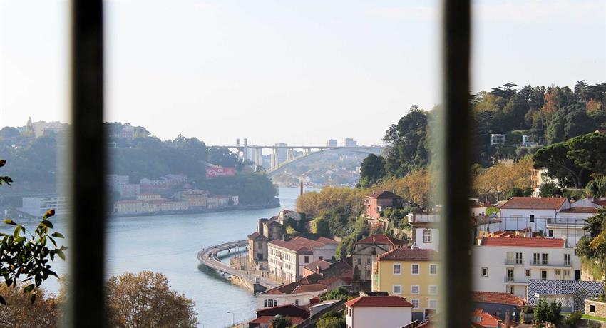 Free Walking Tour Porto - Tiqy, Visita Guiada Gratis en Porto