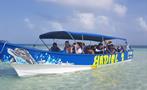 San Blas 5, Full Day Tour to 4 San Blas Islands with Snorkel, Kayak and Paddle Board