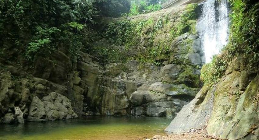 Animal Rescue Centre, Chocolate Lady and Waterfall Tour, Puerto Viejo, Costa-Rica | Tiqy Animal Rescue Centre, Chocolate Lady and Waterfall Tour, Puerto Viejo, Costa-Rica | Tiqy