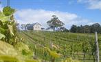 Bruny Island Travellers winery, Gourmet Experience on Bruny Island