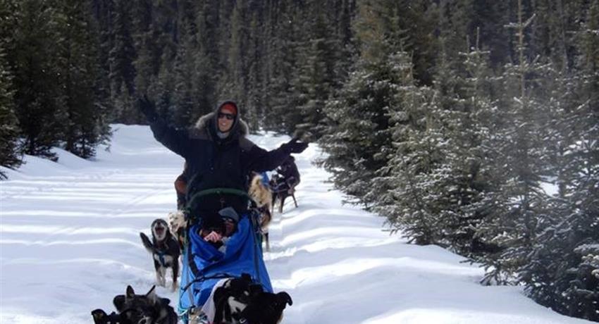Amazing Experience, Great Divide Dog Sled Tour