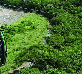Rain Forest Aerial Tram - Private Tour