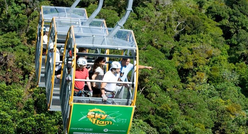 1, Rainforest Cultural Experience in Aereal Tram - Private Tour