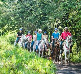 Guanacaste Horseback Riding 6 Hour Tour