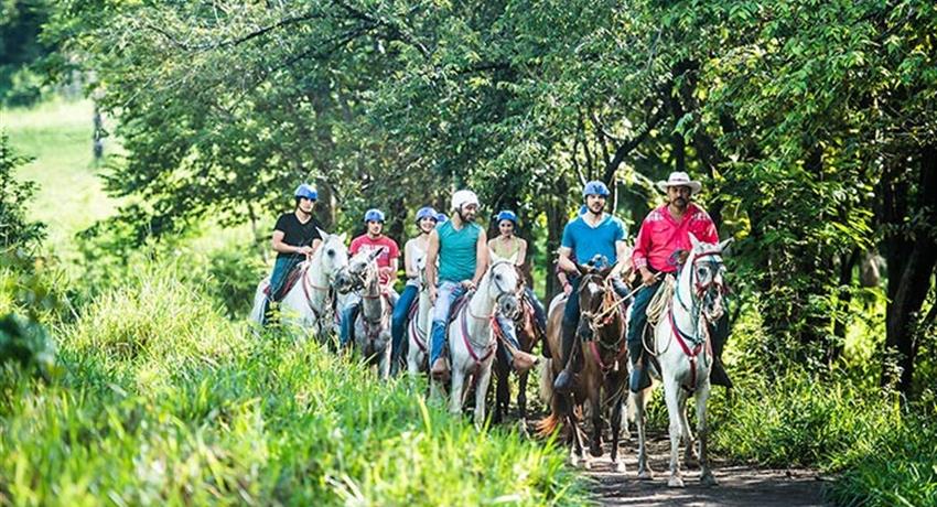 Horses, Guanacaste Horseback Riding 6 Hour Tour