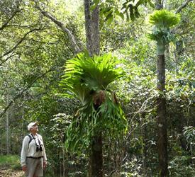 Guided Nature Walk 