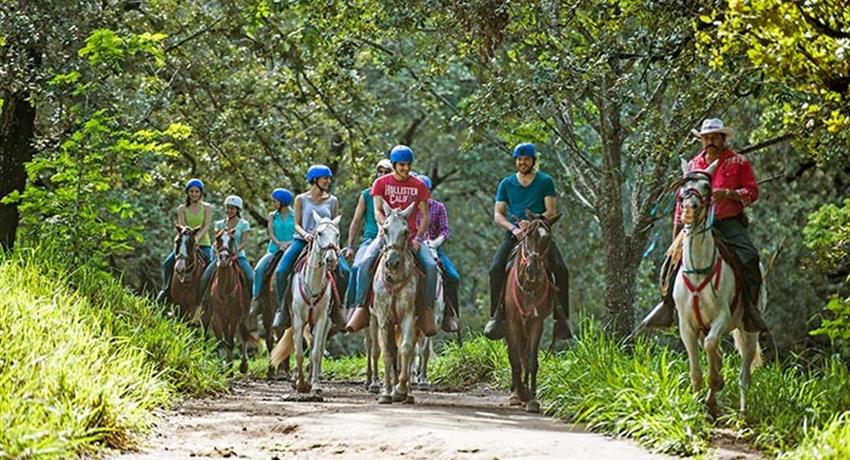 Horses, Hacienda Guachipelin Full Day Adventure