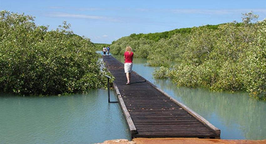 Half Day Broome Sights Tour streeters jetty, Half Day Broome Sights Tour 