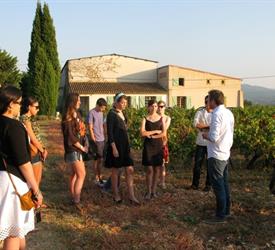 Tour de Medio Día de Vino por Côtes de Provence Sainte-Victoire