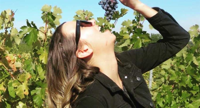 wine tour girl eating grapes, Tour de Cata de Vino de Medio Día
