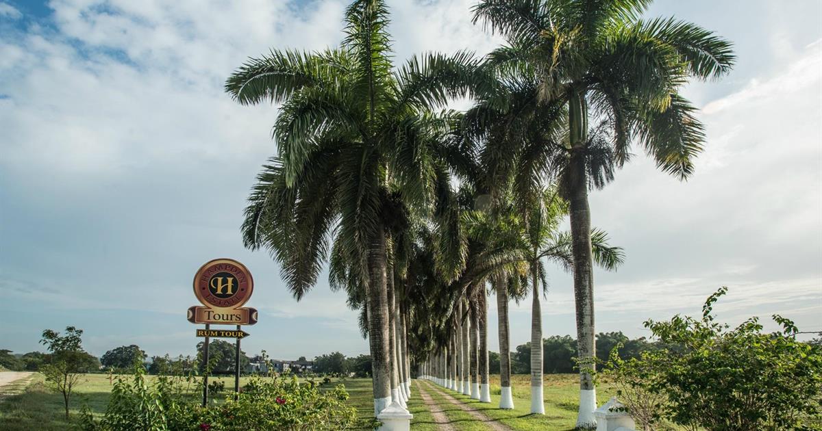 Distillery Rum Tour, Kingston, Jamaica Tiqy