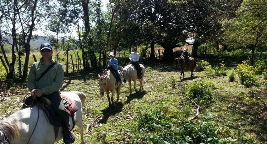 3, Horse Riding Experience in Caldera