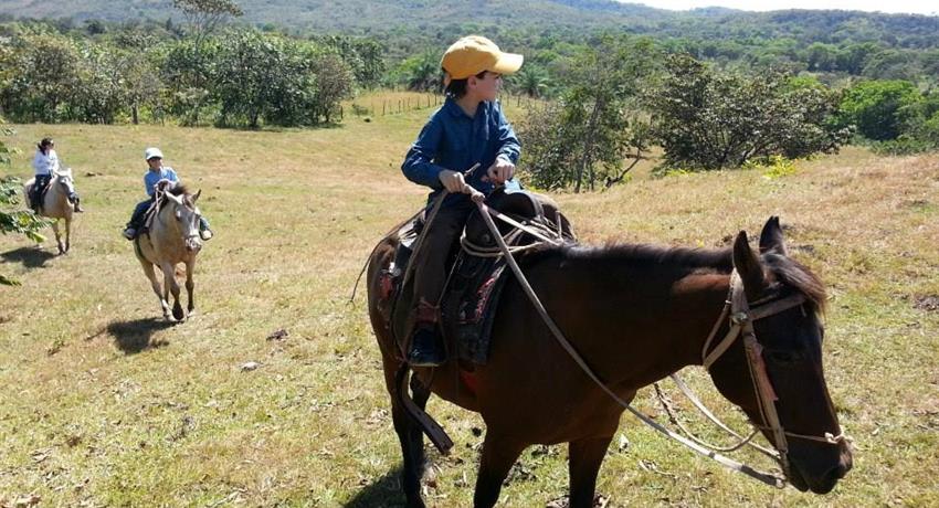 4, Horse Riding Experience in Caldera