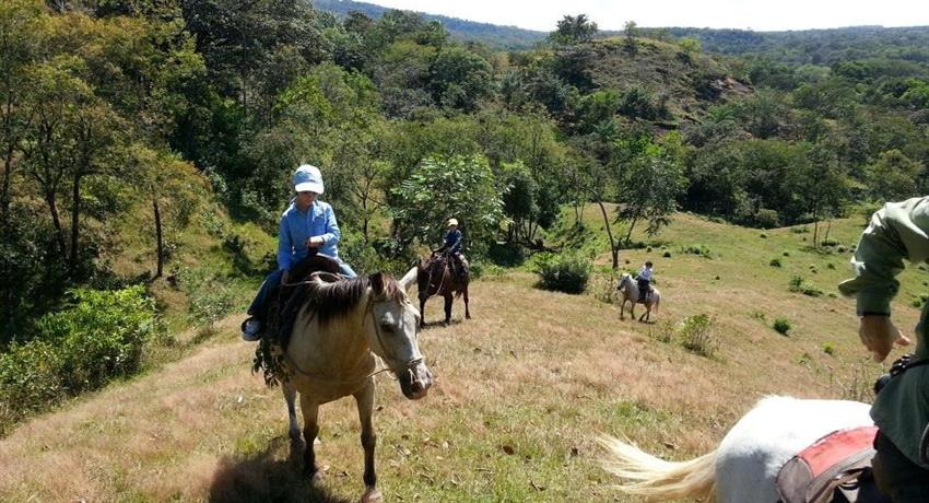 6, Horse Riding Experience in Caldera