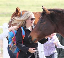 Recorrido de Caballos, Vinos y Cerveza en Melbourne