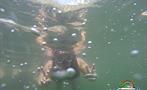 underwater, Tour de Día Completo en Isla Tortugas