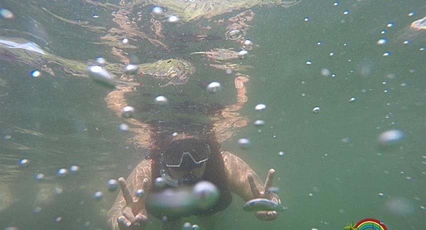underwater, Tour de Día Completo en Isla Tortugas