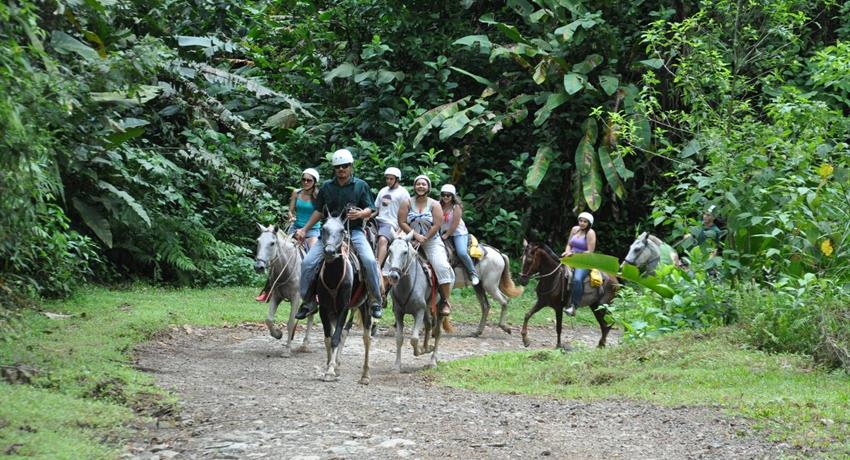 Rider, Jaco 3-Hour Horseback Riding Tour