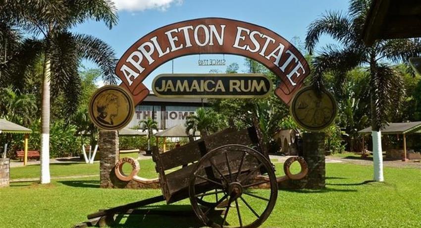 1, Appleton Estate Rum Factory Roundtrip