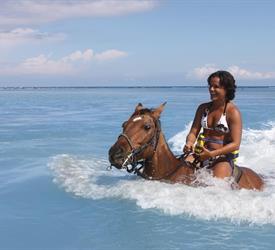 Paseo a Caballo por la Playa