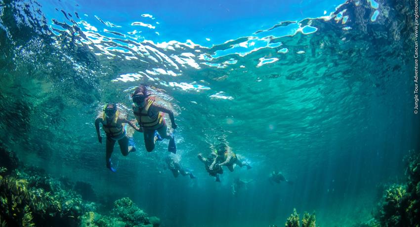 jungle tour cancun snorkling to the coral reef, Expedición Submarina