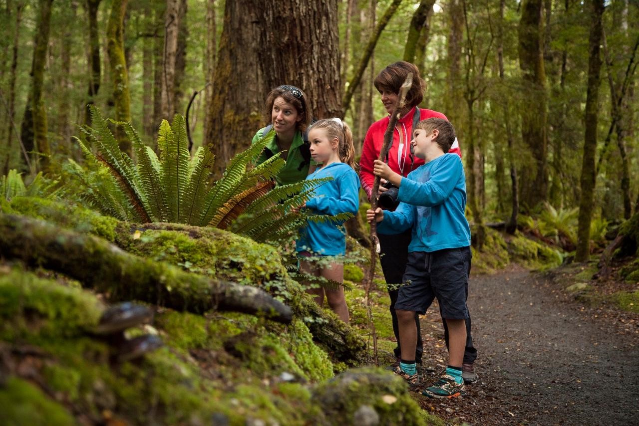 Kepler track outlet guided walk