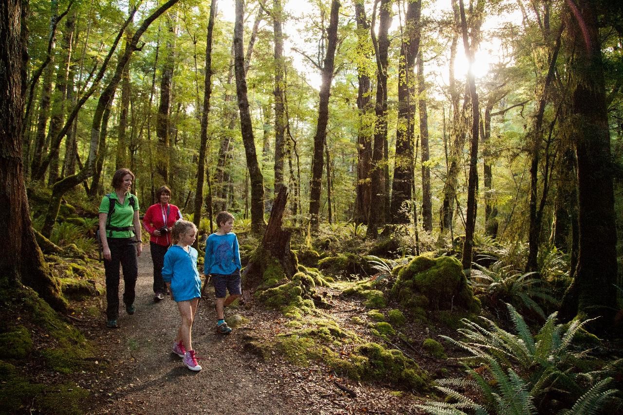 Kepler track guided on sale walk