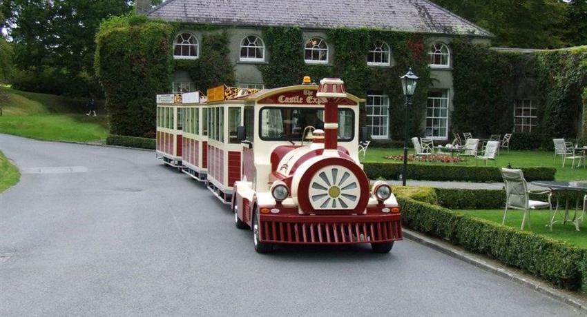 Kilkenny Road Train Tours - Tiqy, Excursión en Tren Kilkenny Road