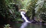rainforest hike tour waterfalls, 4 Days / 3 Nights Rainforest Hike Tour