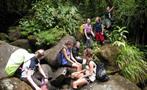 rainforest hike tour group, 4 Days / 3 Nights Rainforest Hike Tour