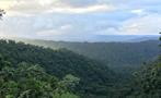 rainforest hike tour landscape, 4 Days / 3 Nights Rainforest Hike Tour