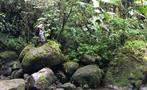 rainforest hike tour guide, 4 Days / 3 Nights Rainforest Hike Tour