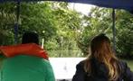 Lake Gatun and Monkey Island Half Day Tour 6, Tour de Medio Día por el Lago Gatún y la Isla de los Monos desde la Ciudad de Panamá