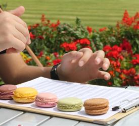 A Macaron In Paris