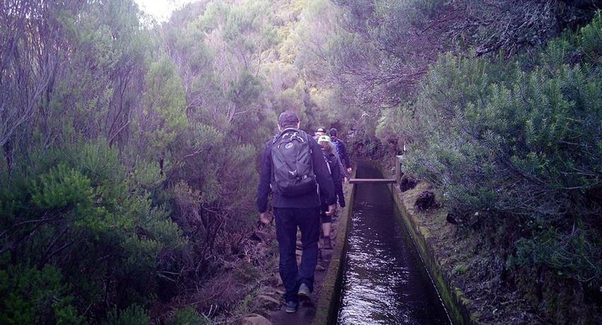 madeira land of water, Madeira Land of Water Hike