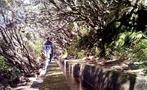 madeira land of water, Caminata en Madeira Tierra de Agua