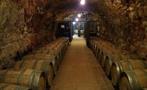Old winery in Madrid, Recorrido de Vinos en Madrid