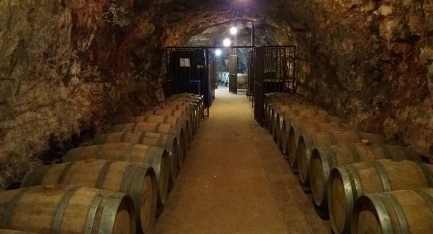 Old winery in Madrid, Recorrido de Vinos en Madrid